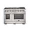 Forno Capriasca Titanium Professional 48In. Freestanding Dual Fuel Range FFSGS6187-48 - alternate 1